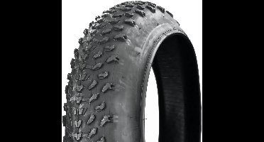 Fatbike Buitenband 20x3.0 Inch