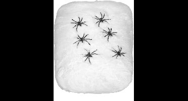 Vegaoo - Spinnenweb Halloween