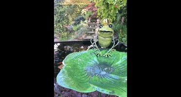 Tuinsteker vogelbad met kikker