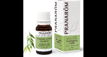 Eucalyptus Radiata etherische olie