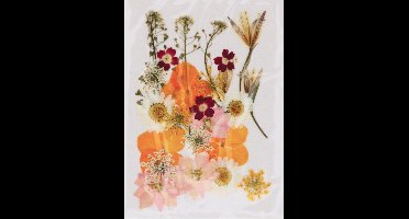 Boeket van perste bloemen Artemio