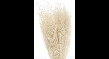 Boeket van gedroogde bloemen Artemio