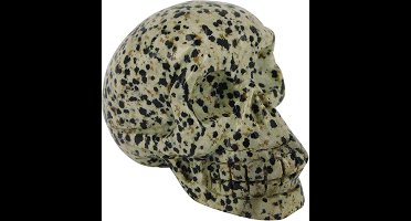 Jaspis dalmatier schedel 70 mm