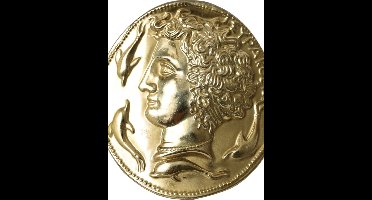 Messing Metalen Sleutelhanger Met Zwart Rubber DG-Logo