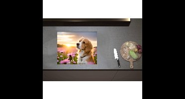 Inductieplaat Beschermer - Bruin met Witte Hond in Veld Vol Roze Bloemen met Zonsondergang - 60x50 cm - 2 mm Dik - Inductie Beschermer - Bescherming Inductiekookplaat - Kookplaat Beschermer van Zwart Vinyl