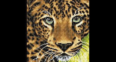 Vedes diamond painting luipaard 30x30 cm kristal kunstwerk canvas.