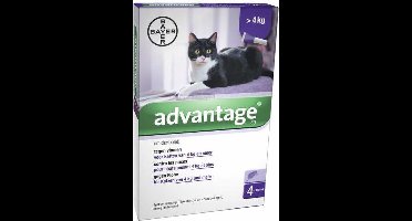 Bayer Advantage Kat 80 > 4 kg - 4 Pipetten