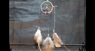 Mini dromenvanger regenboogkleuren