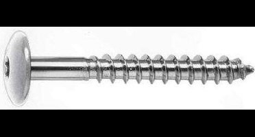 Gevelplaatschroeven rvs torx 4.8x25mm beige