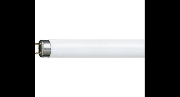 Philips TL-D buis