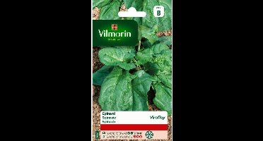 Spinazie Viroflay Reuzen