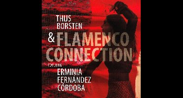Flamenco Connection (CD)