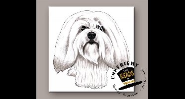 Tegel Hond Coton Tulear