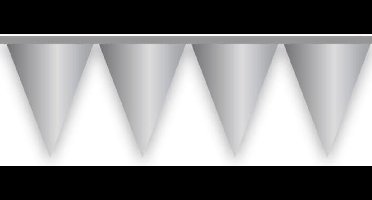 Vlaggenlijn zilvergrijs (10m)