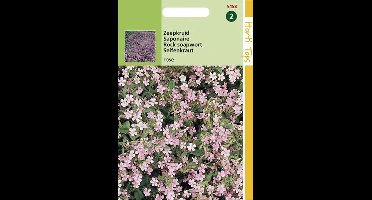 Hortitops Zaden - Saponaria Ocymoides (Zeepkruid) Rose