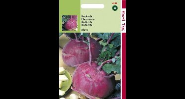 Hortitops Zaden - Koolrabi Blaro