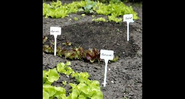 Plantenbordjes extra hoog - wit