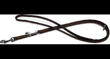 Beeztees Vintage - Hondenriem - Leer - Bruin - 200 cm x 14 mm