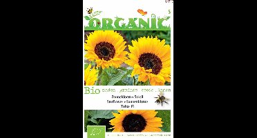 Buzzy® Organic - Zonnebloem Zohar F1 (BIO)