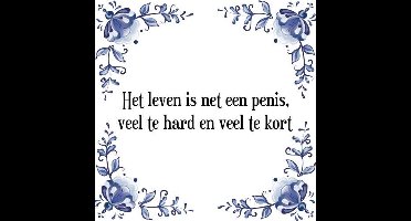 Tegeltje met Spreuk (Tegeltjeswijsheid): Het leven is net een penis, veel te hard en veel te kort + Kado verpakking & Plakhanger