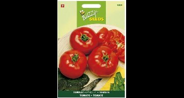 Buzzy - Tomaten Pyros F1 (Solanum lycopersicum)