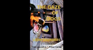 ;-The Gaze of Dogs