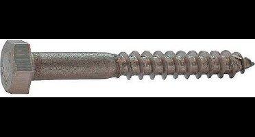 houtdraadbout rvs (A2) M10x80 (50st.)