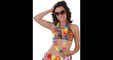 Hawaii Krans Kleuren