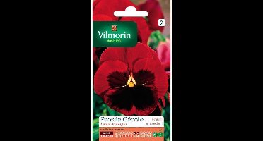 Viooltje Alpen Reuzen Rood - Viola x wittrockiana