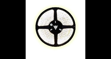 2,5 meter koud wit led strip - 60Leds/m - 12V