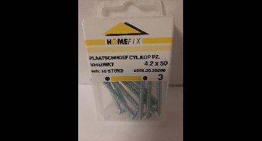 Homefix Plaatschroef-Cyl.Kop pz