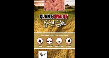 Plantsjalotten Red Sun 250g