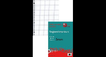 Benza - Ringbandpapier A4 - Wiskundepapier Ruit 5 mm - 23 ringen - 100 vel