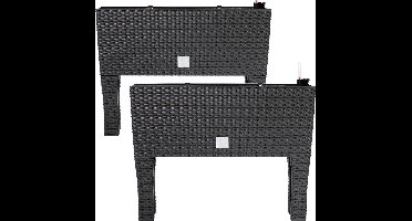 Deuba Plantenbak 2 Stuks - Polyrattan 30 Liter - 60x25x46cm Antraciet