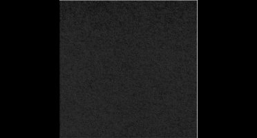 Akoestisch wandpaneel PET-vilt - 100x100 cm - Zwart