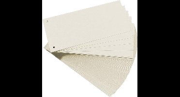 Tabstroken voor ordners - 100 stuks 10,5 x 24 cm Wit