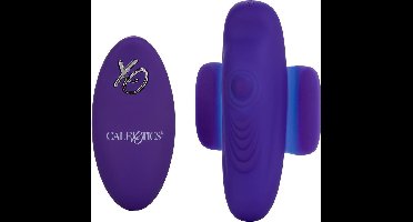Remote Pulsating Panty Teaser