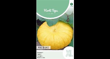 Hortitops Zaden - Pompoenen Geelvlezige (Centenaars)