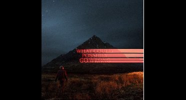 What Could Possibly Go Wrong