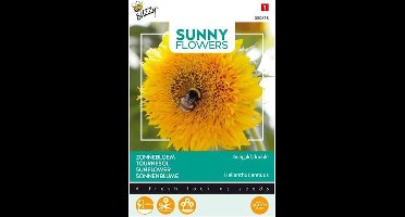 Buzzy® Sunny Flowers, lage Zonnebloem Sungold dubbelbloemig