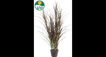 Kunst grasplant voor buiten 115 cm UV