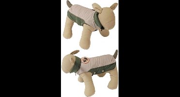 Boony Hondenregenjas Magic Dragons Lichtgrijs