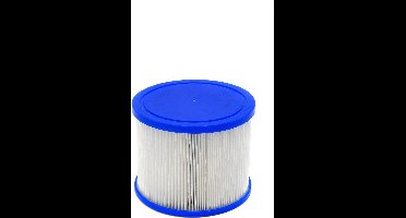 Infinite Filterpatroon Xtra Spa - Easy Set Baden - Blauw Wit 2 stuks