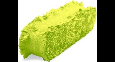Haza Original Feestslinger Crêpepapier 24 M Lichtgroen