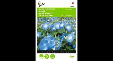 Buzzy Zaden - Klimmende Winde Clark's Blue (Ipomoea tricolor)