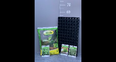 Buzzy® - moestuinzaden - wintertijm- dille - pepermunt - zaaigrond en benodigdheden