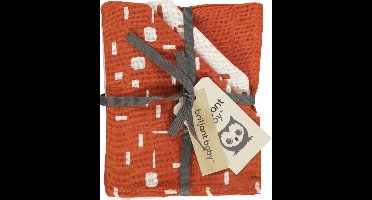Briljant Baby - Washandje Hydrofiel 17 x 20 - Art - Picante - 3 Stuks