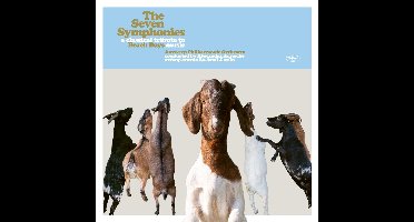 Antwerp Philharmonic Orchestra - The Seven Symphonies A Classical Tribute To Beach Boys Music (CD)
