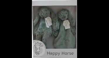 Happy Horse Geschenkverpakking Konijn Richie Groene Knuffel no. 1 - 28 cm / Knuffeldoekje