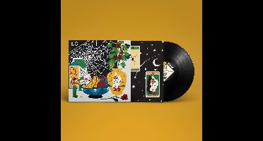 Parquet Courts - Sympathy For Life (LP)